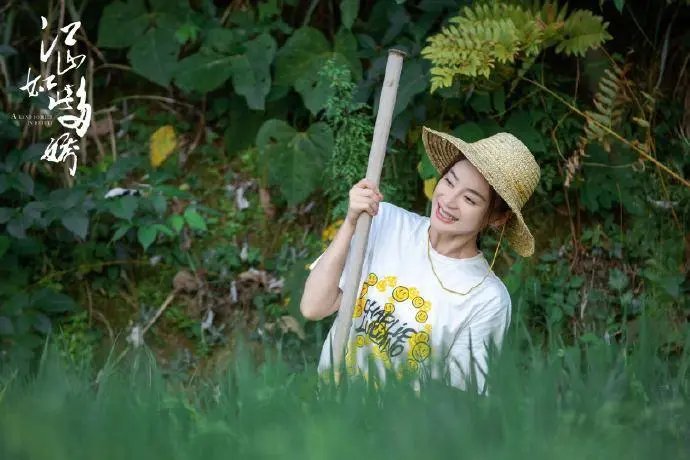 你如何看待袁姗姗说猪蹄胶原蛋白含量不高这件事？