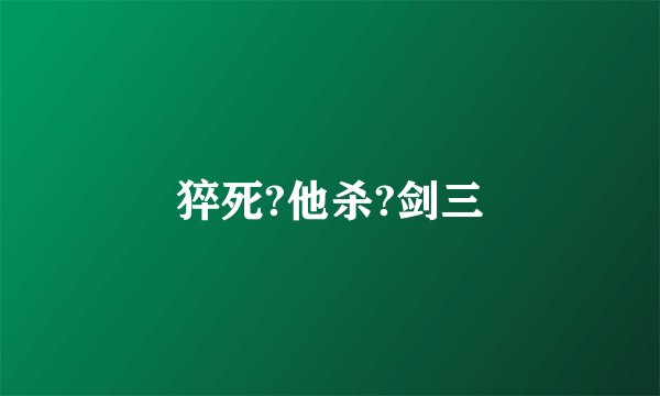 猝死?他杀?剑三