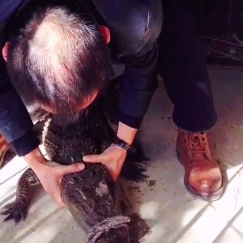 崩崩哥的真实身份