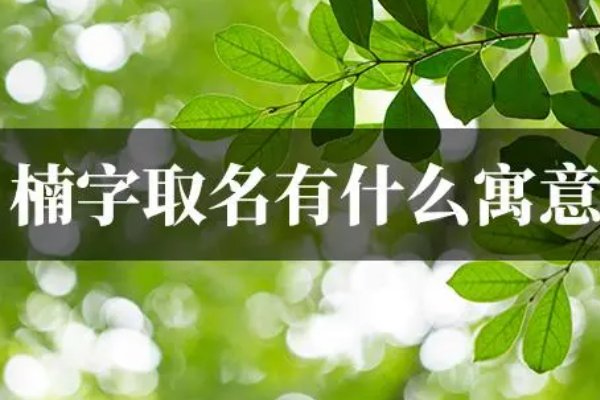 亚楠名字的寓意