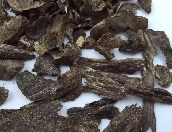 树脂大戟是什么植物?为什么它比朝天椒还辣?它能不能食用?