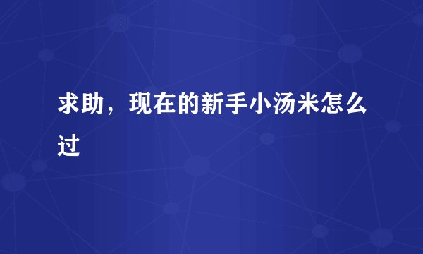 求助，现在的新手小汤米怎么过