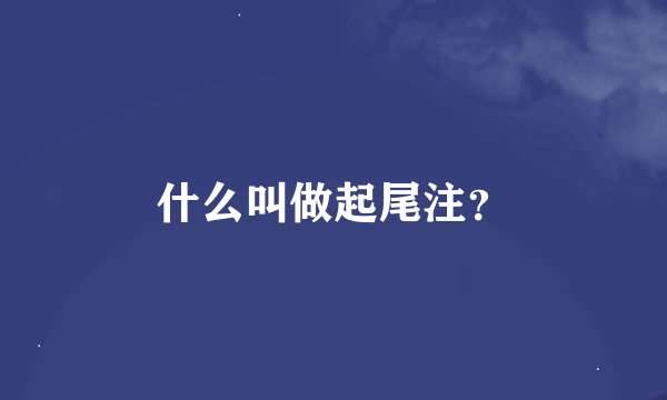 什么叫做起尾注？