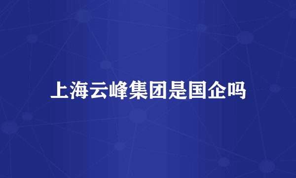 上海云峰集团是国企吗