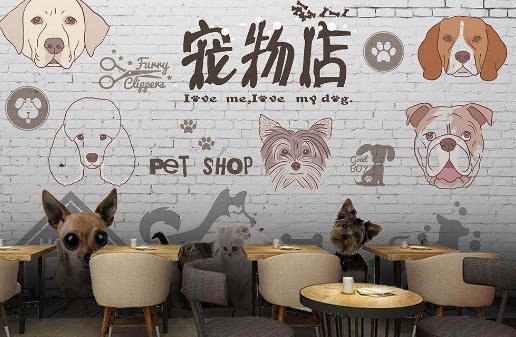 开设宠物美容店需要办理哪些手续?