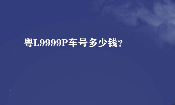粤L9999P车号多少钱？