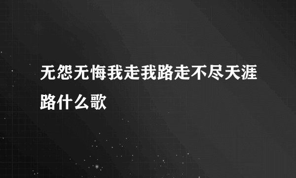 无怨无悔我走我路走不尽天涯路什么歌
