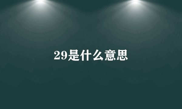 29是什么意思