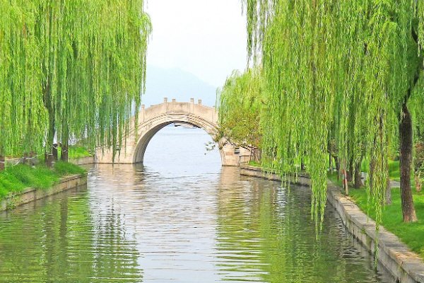 驼背公公力大无穷爱托什么车水马龙是什么？