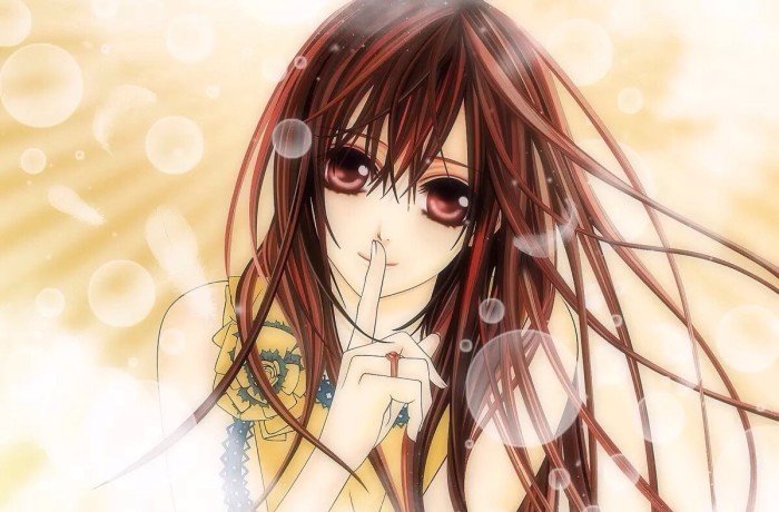 《吸血鬼骑士》第二季讲的是什么？