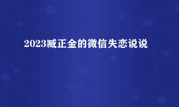 2023臧正金的微信失恋说说