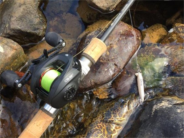 国产路亚竿品牌排行榜前十位