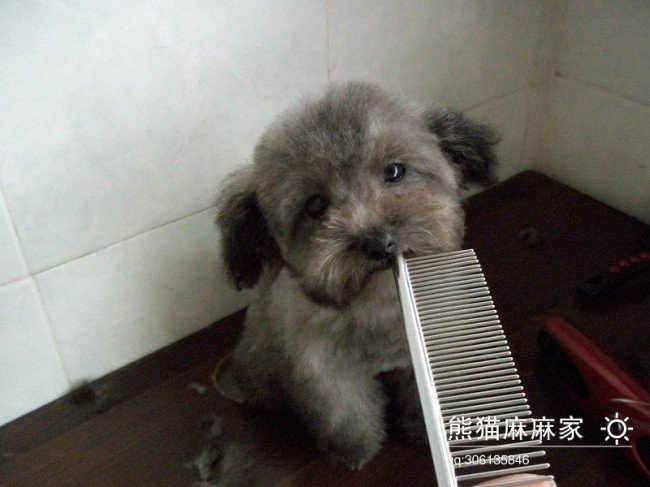 进宝网的意义及功能