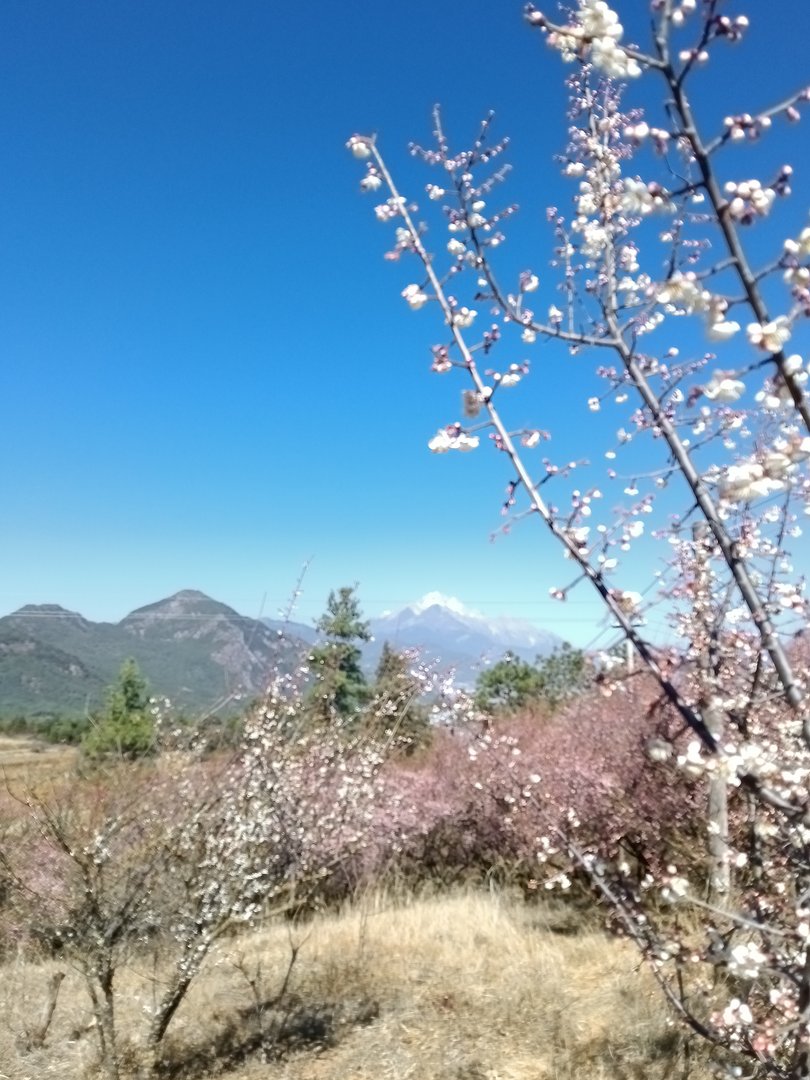 一个男生老说要去我家摸摸是什么意思?不怕我的家人吗？