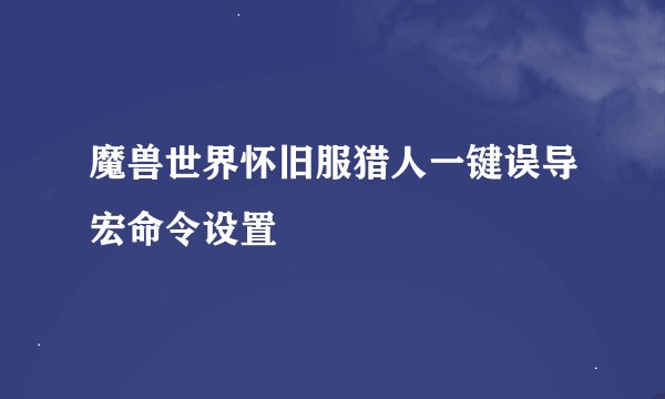 魔兽世界怀旧服猎人一键误导宏命令设置