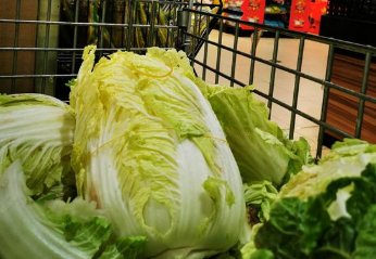 重庆一超市一颗白菜售价90.33元，超市和员工各需承担什么责任？