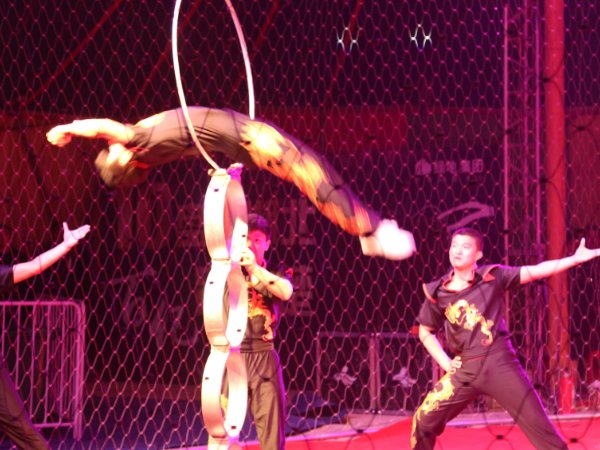 金星方俊舞林争霸为什么