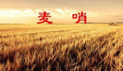 “麦哨”是什么？