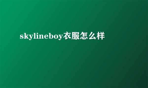 skylineboy衣服怎么样
