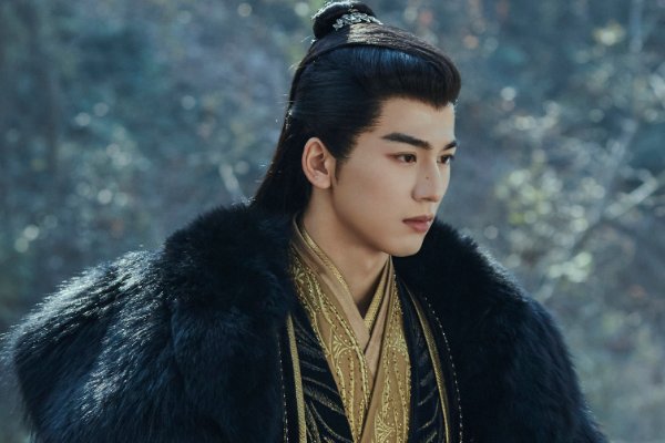 张凌赫拍过哪些电视剧