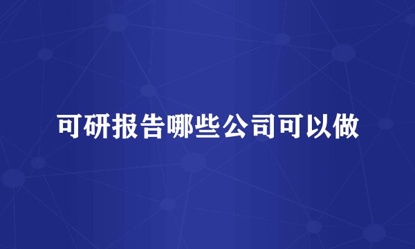 可研报告哪些公司可以做