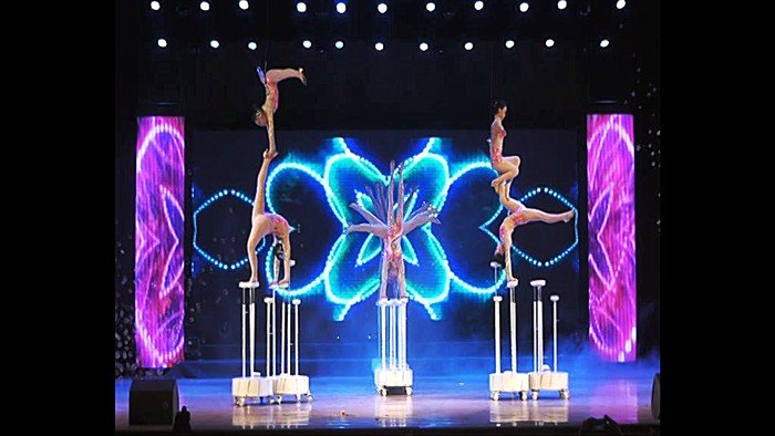 中华演出网的网站简介