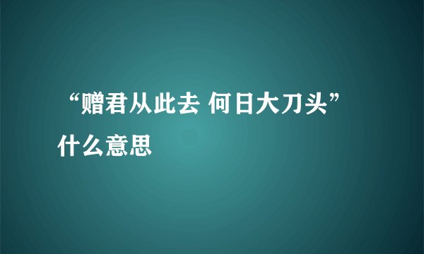 “赠君从此去 何日大刀头” 什么意思