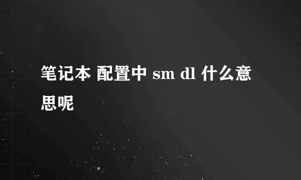 笔记本 配置中 sm dl 什么意思呢