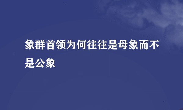 象群首领为何往往是母象而不是公象