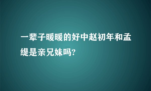 一辈子暖暖的好中赵初年和孟缇是亲兄妹吗?