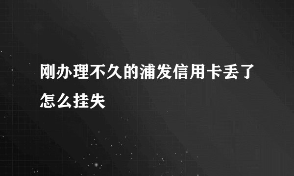 刚办理不久的浦发信用卡丢了怎么挂失