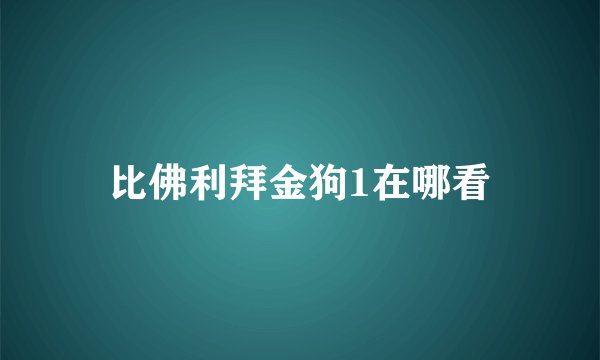 比佛利拜金狗1在哪看