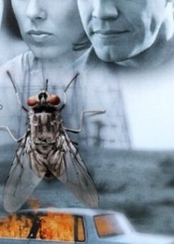 苍蝇陷阱的剧情简介