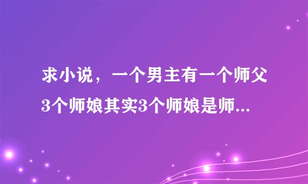 求小说，一个男主有一个师父3个师娘其实3个师娘是师父留给徒弟的鼎炉好像大师娘姓罗
