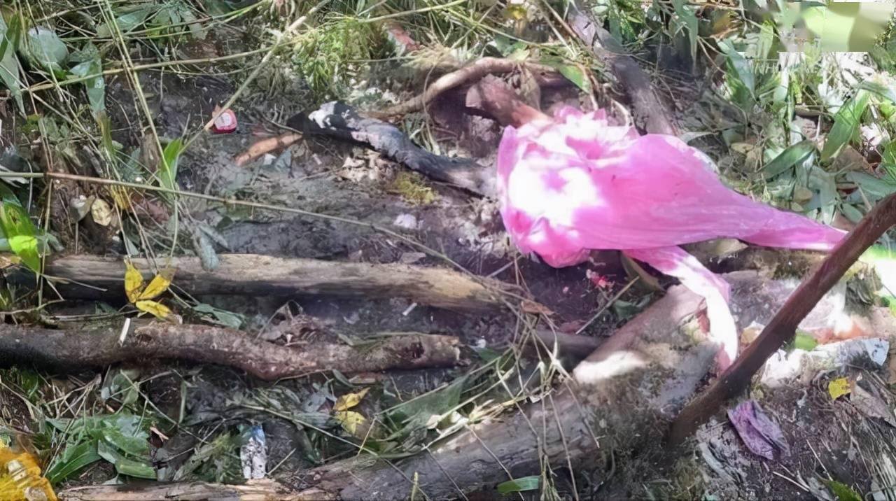 在哀牢山遇难的地质人员进山为何穿一次性雨衣？