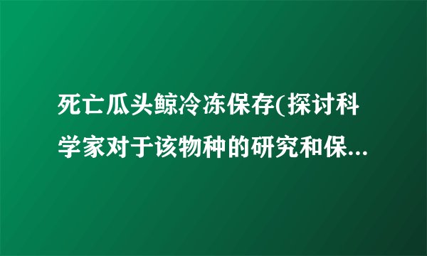 死亡瓜头鲸冷冻保存(探讨科学家对于该物种的研究和保护措施。)