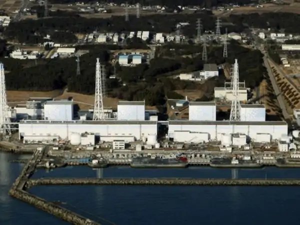 东电将试验用福岛核污水养比目鱼和鲍鱼等，可能会带来哪些影响？