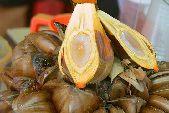 像果冻的椰子是哪个品种