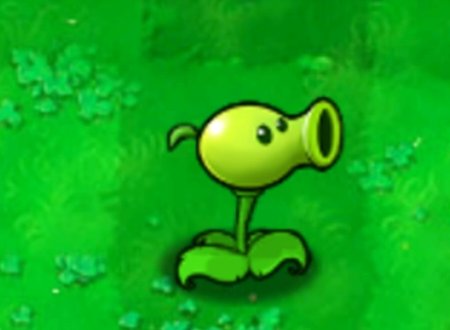 豌豆射手是什么意思？