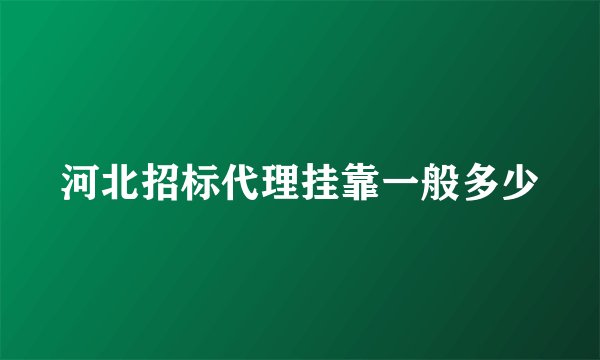 河北招标代理挂靠一般多少