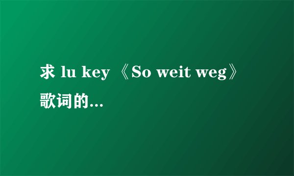 求 lu key 《So weit weg》歌词的中文翻译