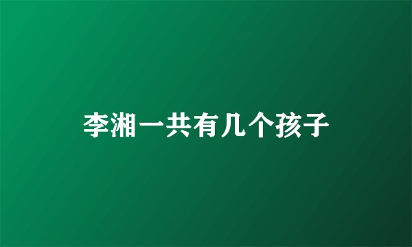 李湘一共有几个孩子