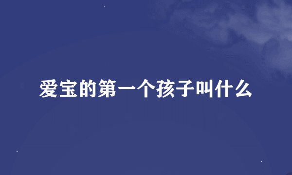 爱宝的第一个孩子叫什么