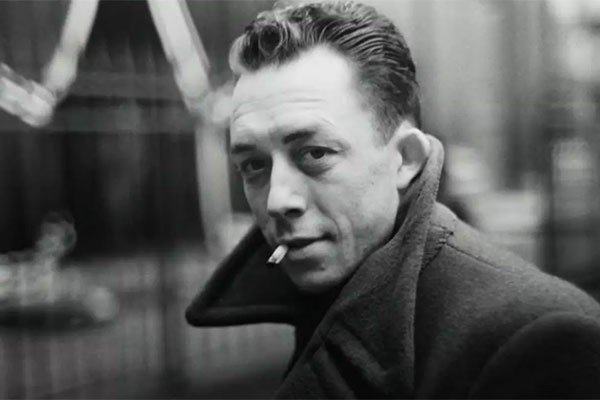 albert翻译成中文