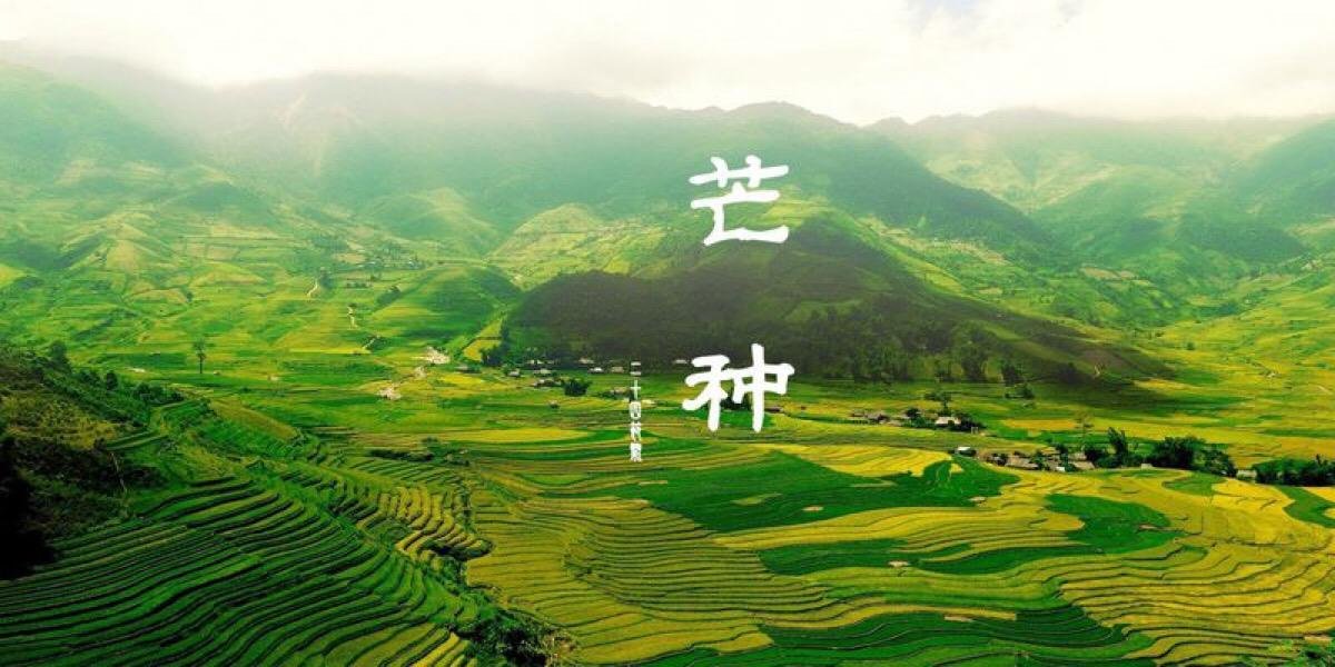 芒种的歌词是什么？