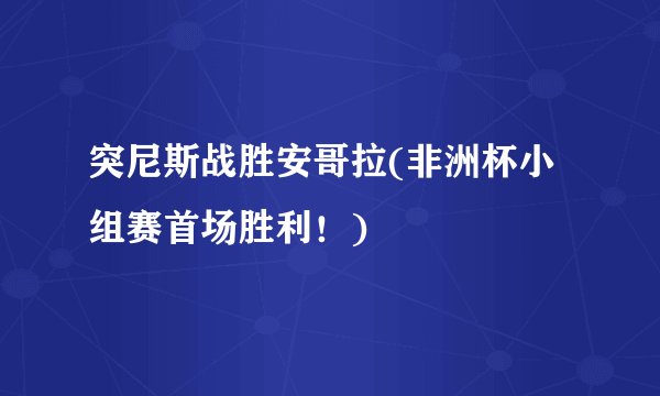 突尼斯战胜安哥拉(非洲杯小组赛首场胜利！)