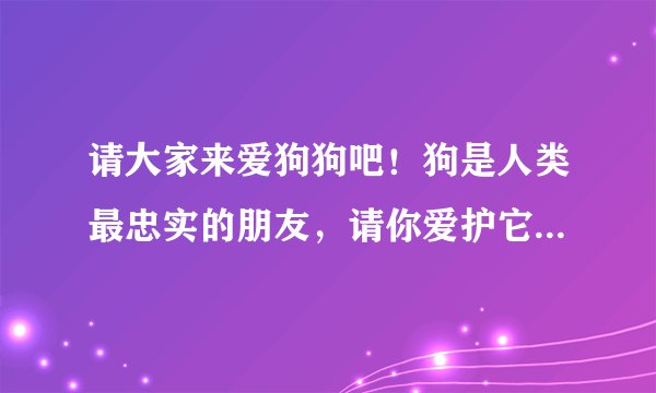 请大家来爱狗狗吧！狗是人类最忠实的朋友，请你爱护它！ 狗是盲人的向导、搜救行动中的先锋，请你珍惜
