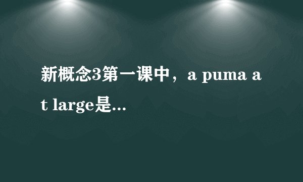 新概念3第一课中，a puma at large是什么意思