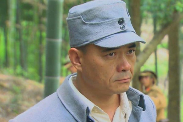 王新军演过的电视剧