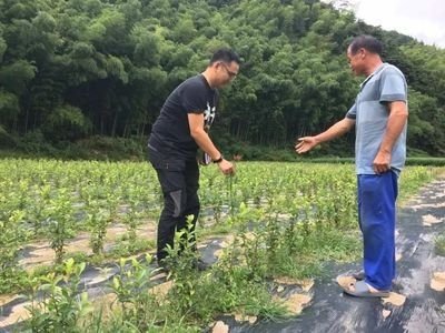 送领导什么礼物好呢？